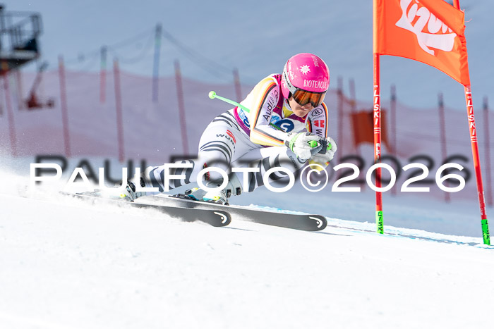 NC + NJC DH ,Frauen + Männer Axamer Lizum 25.03.2026