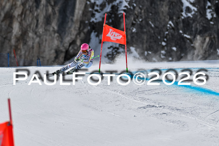 NC + NJC DH ,Frauen + Männer Axamer Lizum 25.03.2026