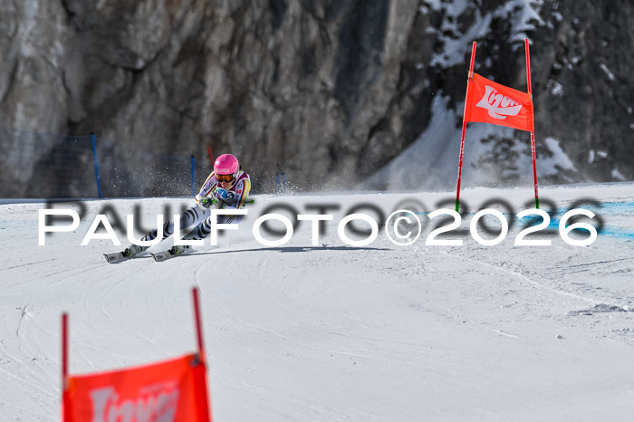 NC + NJC DH ,Frauen + Männer Axamer Lizum 25.03.2026