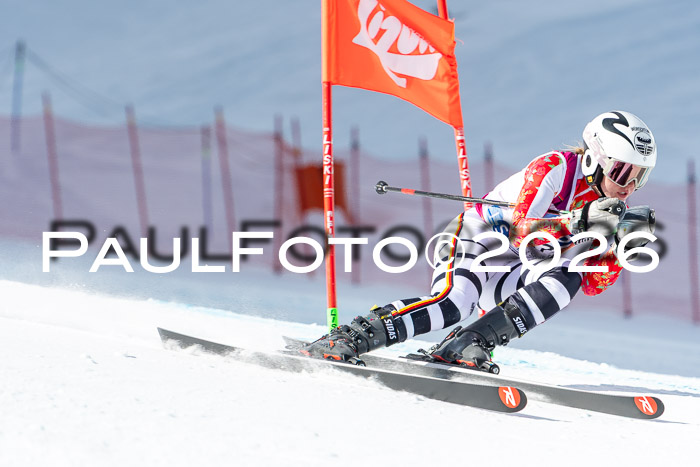 NC + NJC DH ,Frauen + Männer Axamer Lizum 25.03.2026