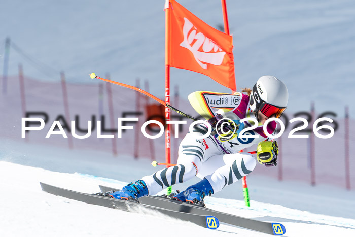 NC + NJC DH ,Frauen + Männer Axamer Lizum 25.03.2026