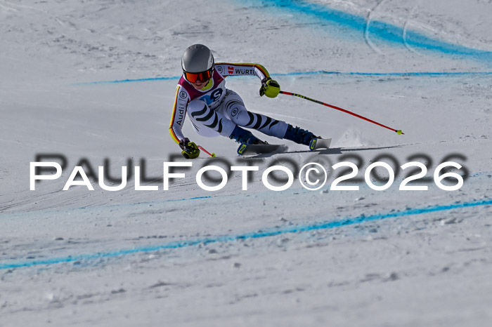 NC + NJC DH ,Frauen + Männer Axamer Lizum 25.03.2026