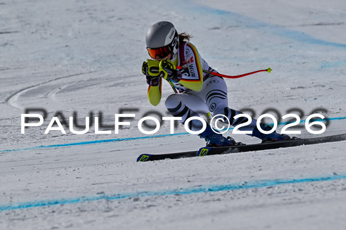 NC + NJC DH ,Frauen + Männer Axamer Lizum 25.03.2026