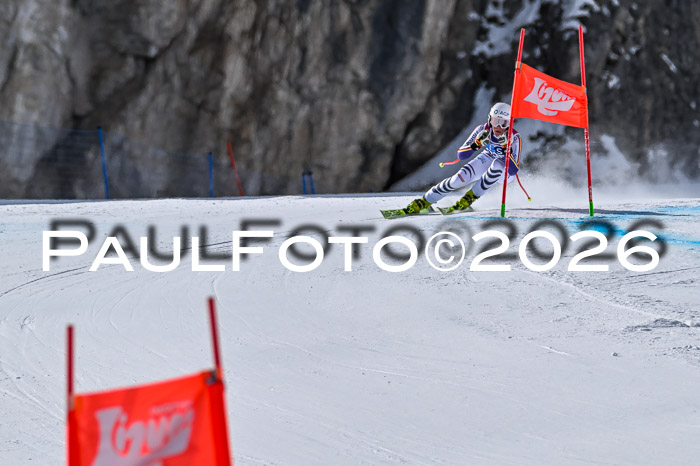 NC + NJC DH ,Frauen + Männer Axamer Lizum 25.03.2026