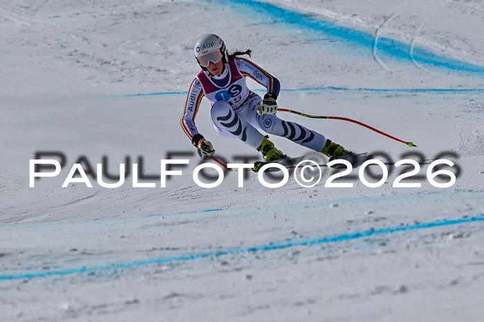 NC + NJC DH ,Frauen + Männer Axamer Lizum 25.03.2026