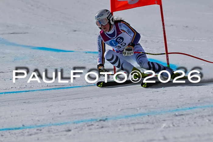 NC + NJC DH ,Frauen + Männer Axamer Lizum 25.03.2026