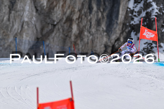 NC + NJC DH ,Frauen + Männer Axamer Lizum 25.03.2026