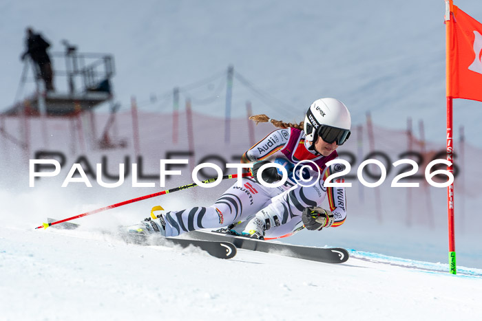 NC + NJC DH ,Frauen + Männer Axamer Lizum 25.03.2026