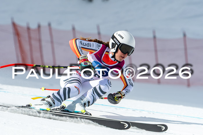 NC + NJC DH ,Frauen + Männer Axamer Lizum 25.03.2026