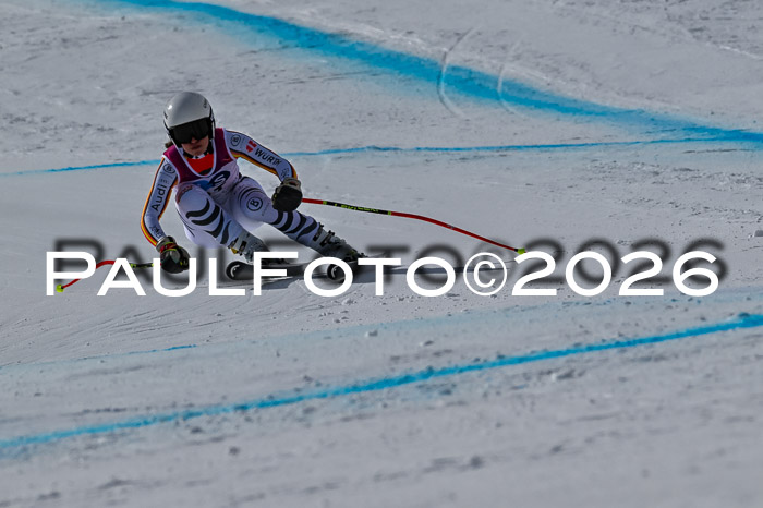 NC + NJC DH ,Frauen + Männer Axamer Lizum 25.03.2026