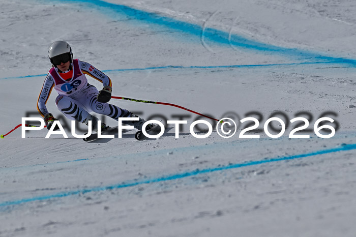 NC + NJC DH ,Frauen + Männer Axamer Lizum 25.03.2026