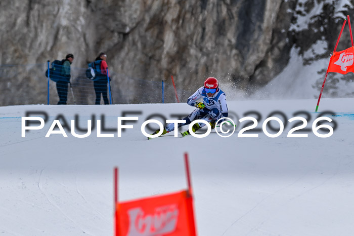 NC + NJC DH ,Frauen + Männer Axamer Lizum 25.03.2026