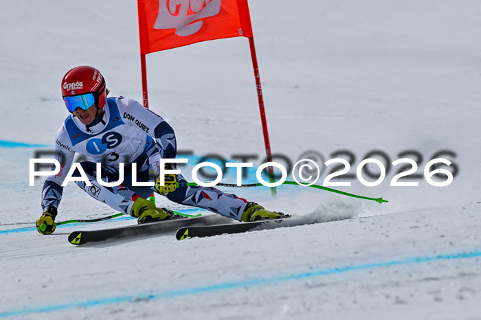 NC + NJC DH ,Frauen + Männer Axamer Lizum 25.03.2026