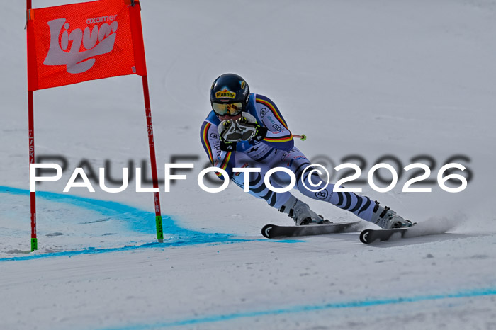 NC + NJC DH ,Frauen + Männer Axamer Lizum 25.03.2026