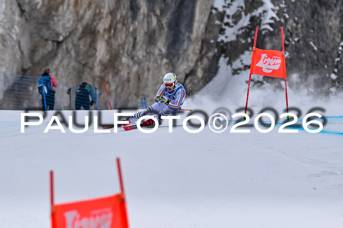 NC + NJC DH ,Frauen + Männer Axamer Lizum 25.03.2026