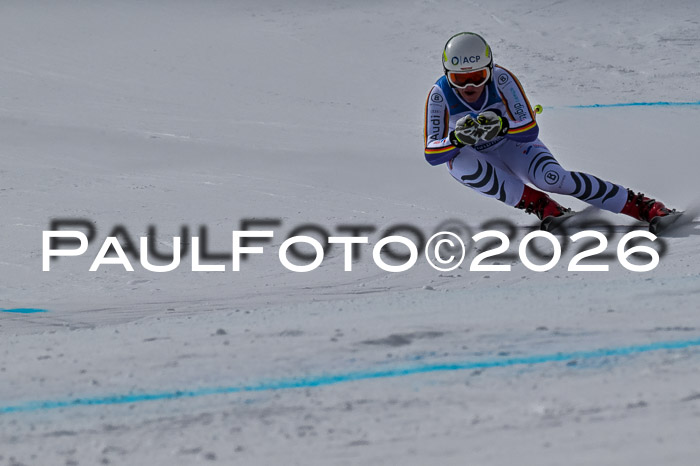 NC + NJC DH ,Frauen + Männer Axamer Lizum 25.03.2026