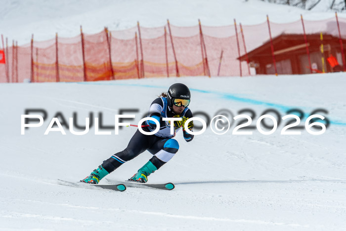 NC + NJC DH ,Frauen + Männer Axamer Lizum 25.03.2026