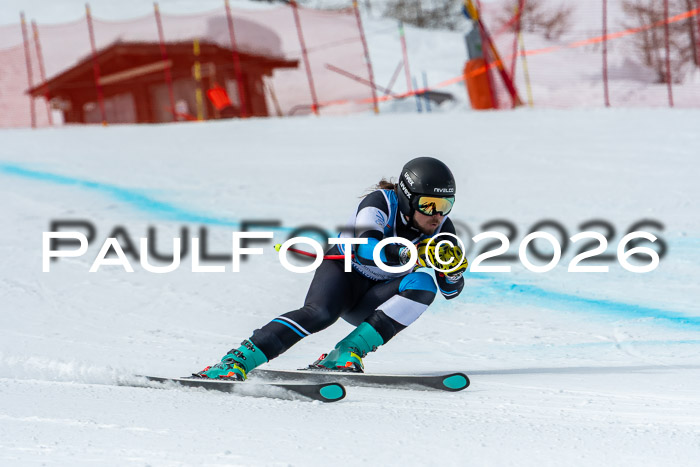 NC + NJC DH ,Frauen + Männer Axamer Lizum 25.03.2026