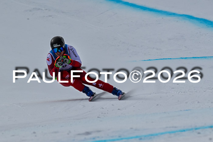 NC + NJC DH ,Frauen + Männer Axamer Lizum 25.03.2026