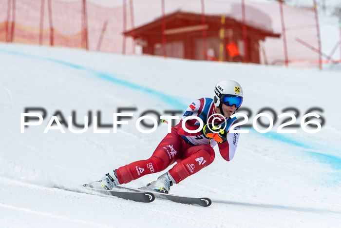 NC + NJC DH ,Frauen + Männer Axamer Lizum 25.03.2026