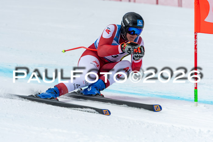 NC + NJC DH ,Frauen + Männer Axamer Lizum 25.03.2026