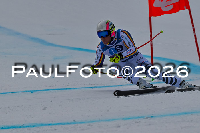 NC + NJC DH ,Frauen + Männer Axamer Lizum 25.03.2026