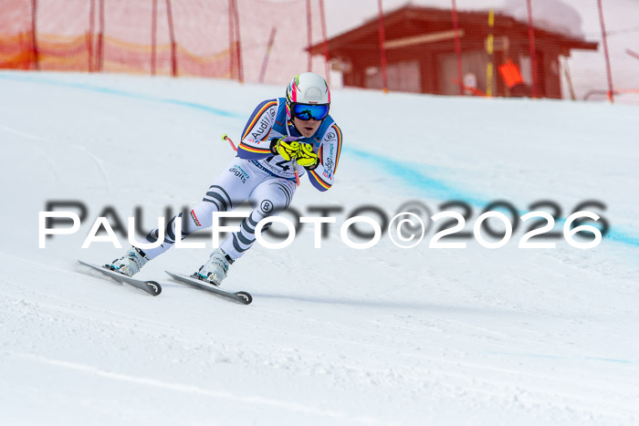 NC + NJC DH ,Frauen + Männer Axamer Lizum 25.03.2026