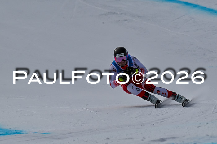 NC + NJC DH ,Frauen + Männer Axamer Lizum 25.03.2026