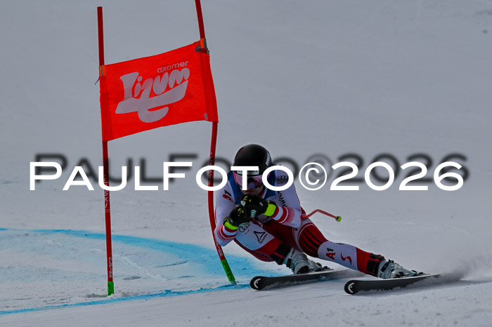 NC + NJC DH ,Frauen + Männer Axamer Lizum 25.03.2026