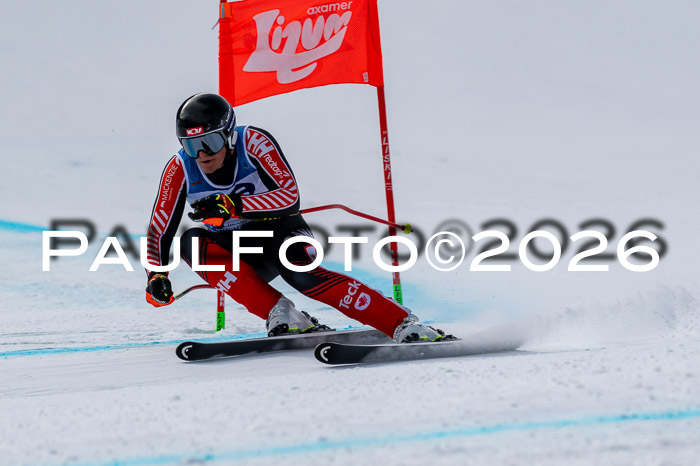 NC + NJC DH ,Frauen + Männer Axamer Lizum 25.03.2026