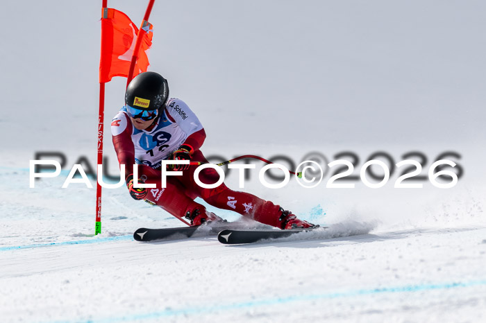 NC + NJC DH ,Frauen + Männer Axamer Lizum 25.03.2026