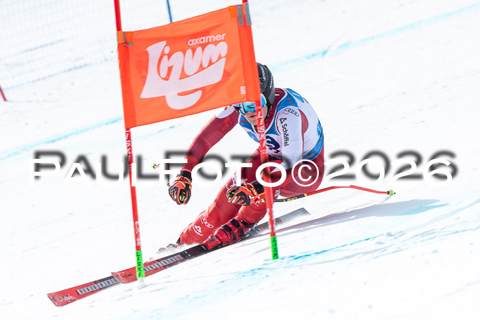 NC + NJC DH ,Frauen + Männer Axamer Lizum 25.03.2026