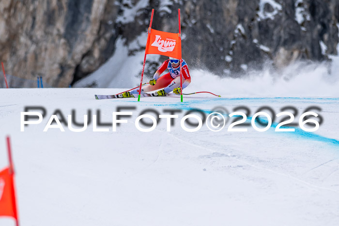 NC + NJC DH ,Frauen + Männer Axamer Lizum 25.03.2026