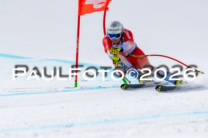 NC + NJC DH ,Frauen + Männer Axamer Lizum 25.03.2026