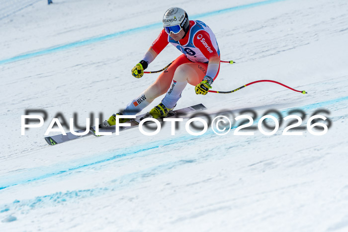 NC + NJC DH ,Frauen + Männer Axamer Lizum 25.03.2026