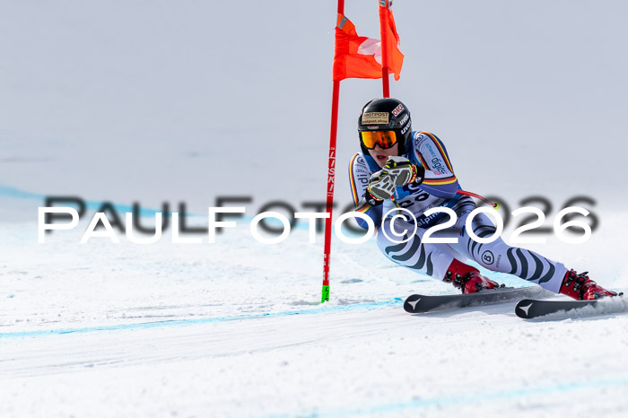 NC + NJC DH ,Frauen + Männer Axamer Lizum 25.03.2026