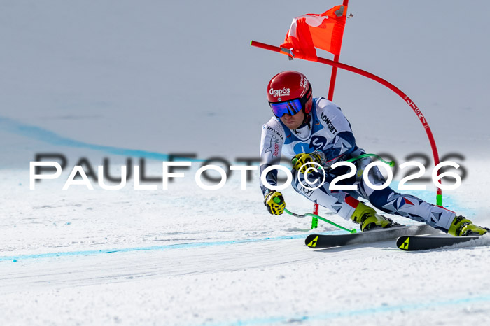 NC + NJC DH ,Frauen + Männer Axamer Lizum 25.03.2026