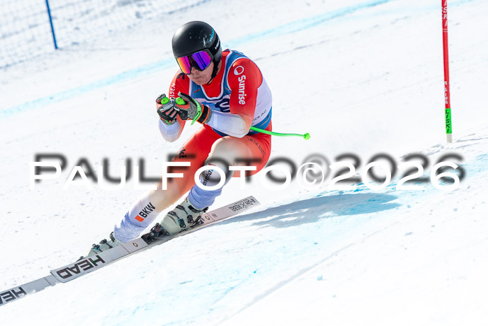 NC + NJC DH ,Frauen + Männer Axamer Lizum 25.03.2026