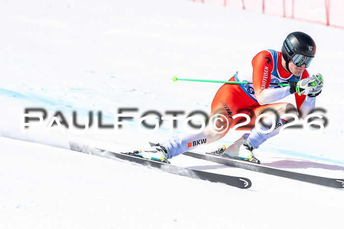 NC + NJC DH ,Frauen + Männer Axamer Lizum 25.03.2026