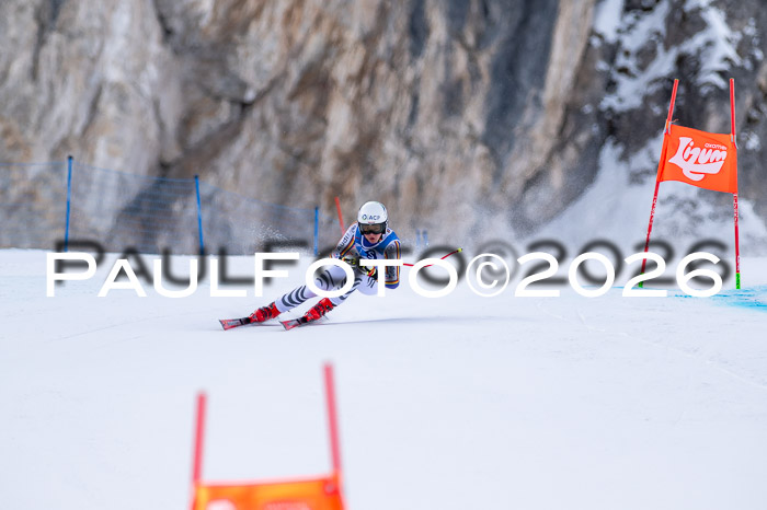 NC + NJC DH ,Frauen + Männer Axamer Lizum 25.03.2026