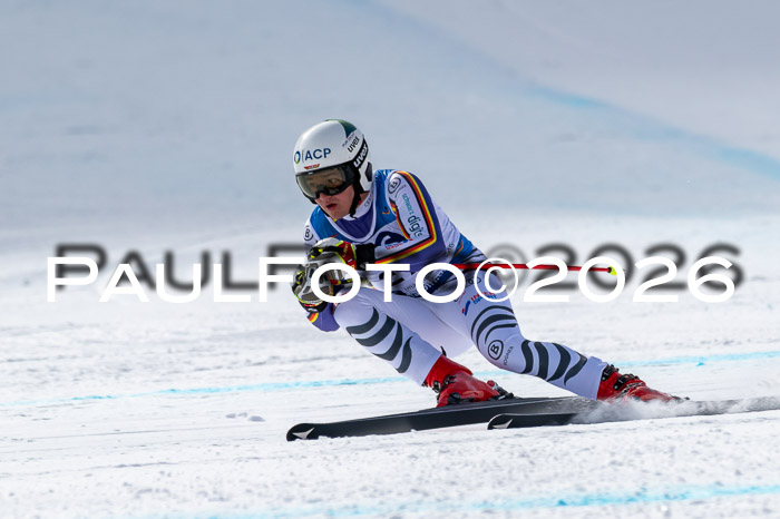 NC + NJC DH ,Frauen + Männer Axamer Lizum 25.03.2026