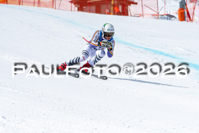 NC + NJC DH ,Frauen + Männer Axamer Lizum 25.03.2026