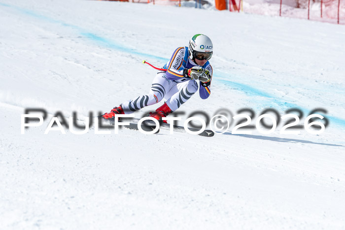 NC + NJC DH ,Frauen + Männer Axamer Lizum 25.03.2026