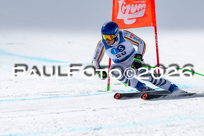 NC + NJC DH ,Frauen + Männer Axamer Lizum 25.03.2026