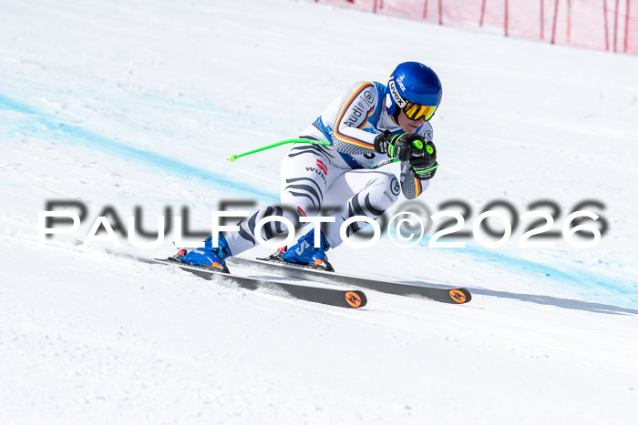 NC + NJC DH ,Frauen + Männer Axamer Lizum 25.03.2026