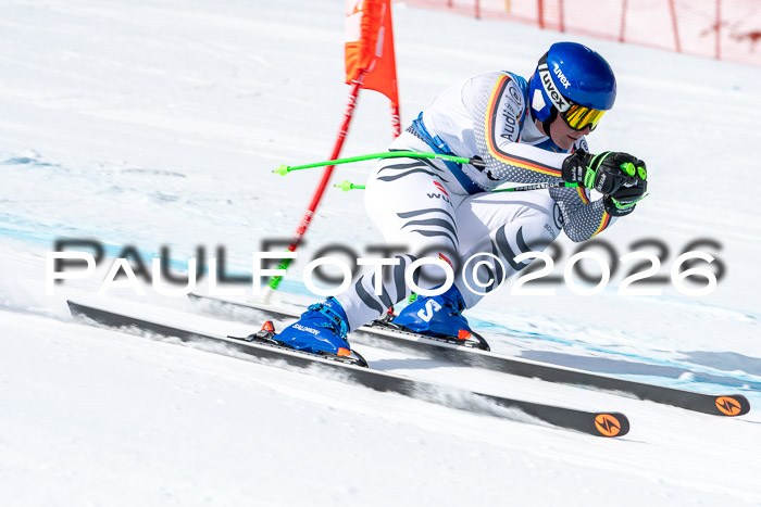 NC + NJC DH ,Frauen + Männer Axamer Lizum 25.03.2026