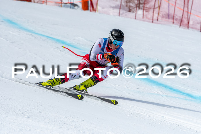 NC + NJC DH ,Frauen + Männer Axamer Lizum 25.03.2026