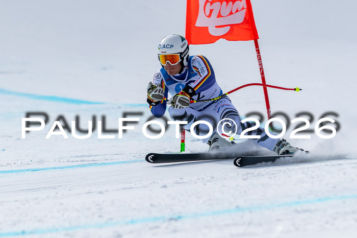 NC + NJC DH ,Frauen + Männer Axamer Lizum 25.03.2026