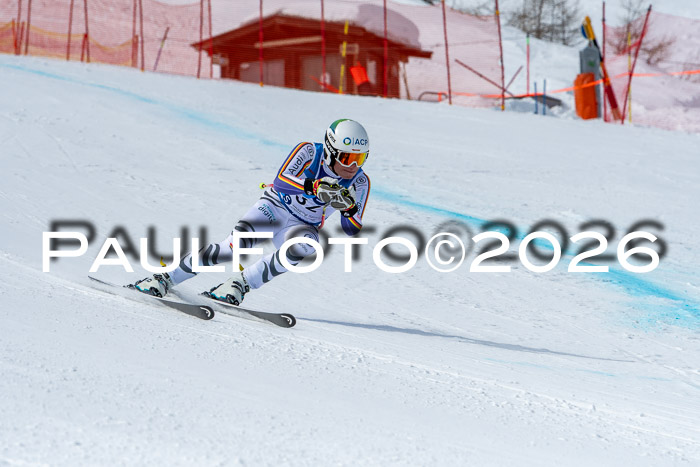 NC + NJC DH ,Frauen + Männer Axamer Lizum 25.03.2026