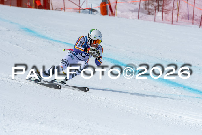 NC + NJC DH ,Frauen + Männer Axamer Lizum 25.03.2026